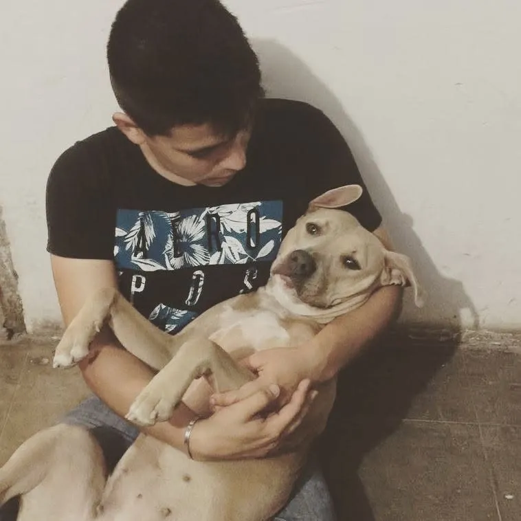 Segunda fotografía de sus perritos